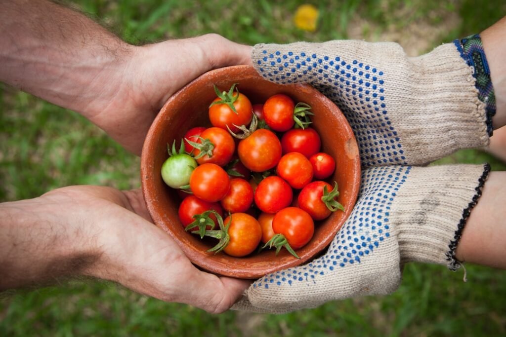 Photo Fresh produce