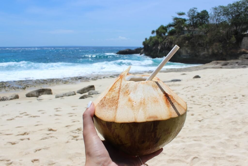 Photo Coconut and blender